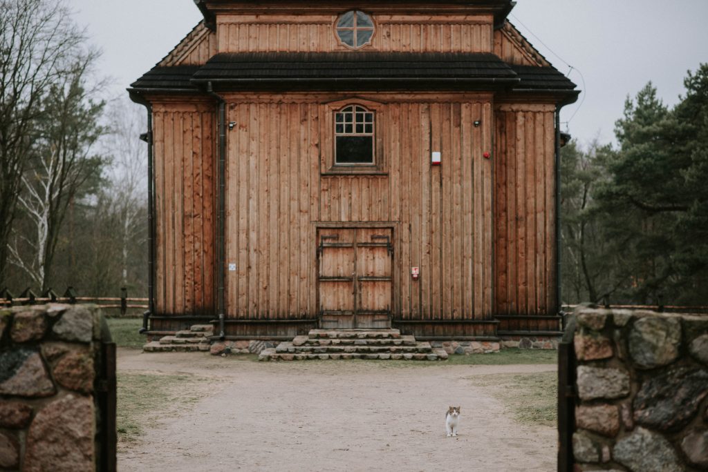 sesja narzeczeńska sesja narzeczenska fotograf płock  fotograf ślubny płock fotograf plock fotografia ślubna portfolio reportaż ślubny sesja ślubna sesja slubna