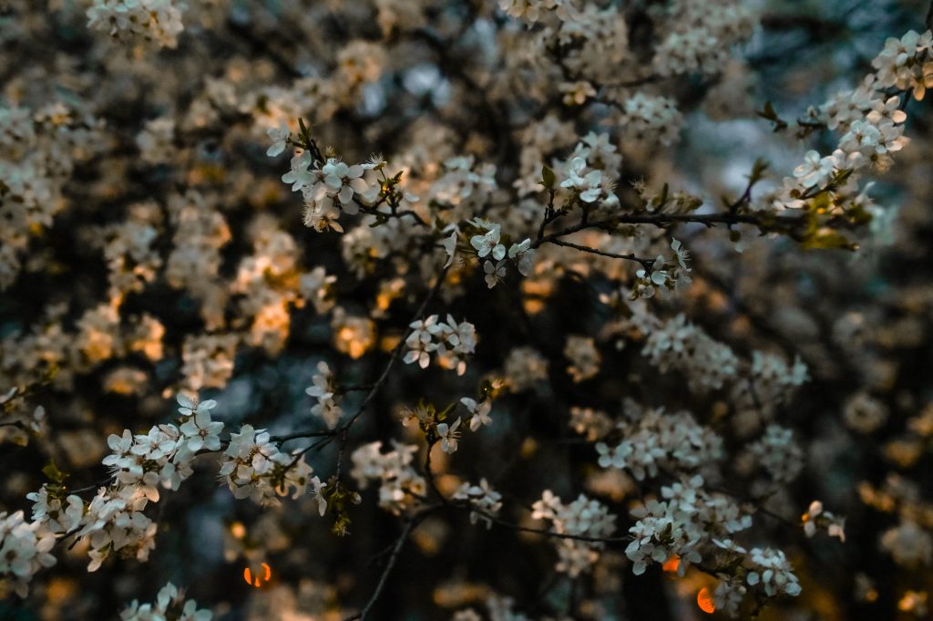 sesja narzeczeńska sesja narzeczenska fotograf płock  fotograf ślubny płock fotograf plock fotografia ślubna portfolio reportaż ślubny sesja ślubna sesja slubna